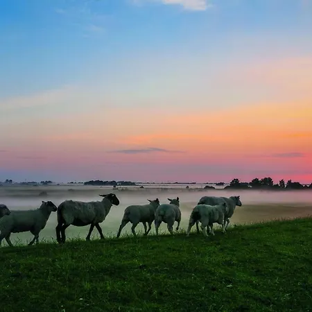 Gud Jard Nr 35 - Design-ferienhaus Mit Exklusiver Ausstattung * Pellworm