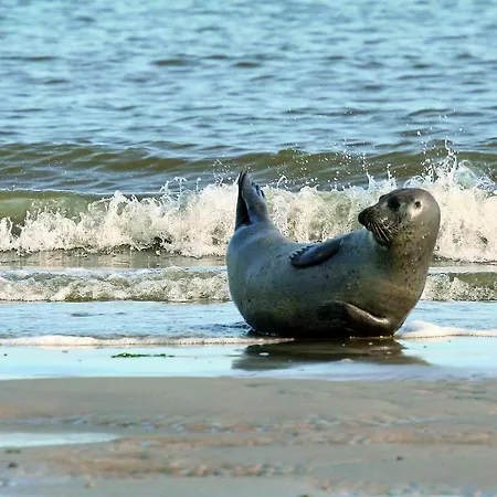 Gud Jard Nr 35 - Design-ferienhaus Mit Exklusiver Ausstattung Prázdninový dům *